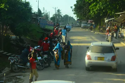 DSC_7793 (Large).JPG